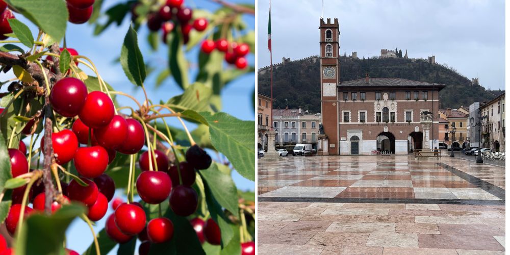 Did You Know: Italy's Sweetest Secret - The Marostica Cherry!