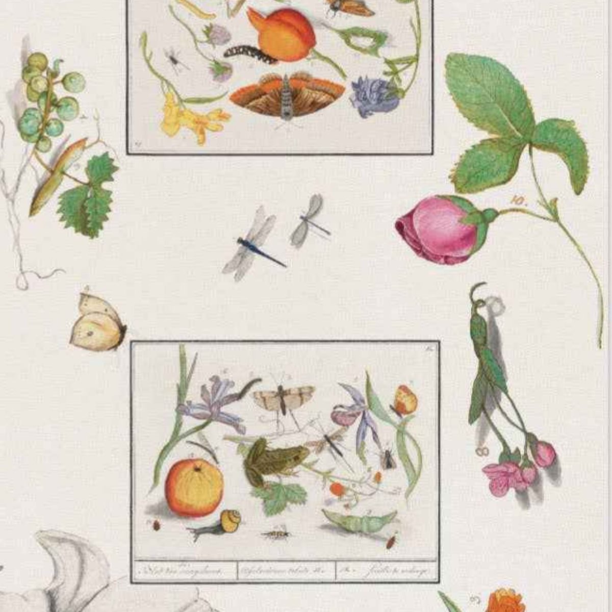 Table Runner, 100% Linen, Fruit &amp; Floral, Choose your style, Made in Italy