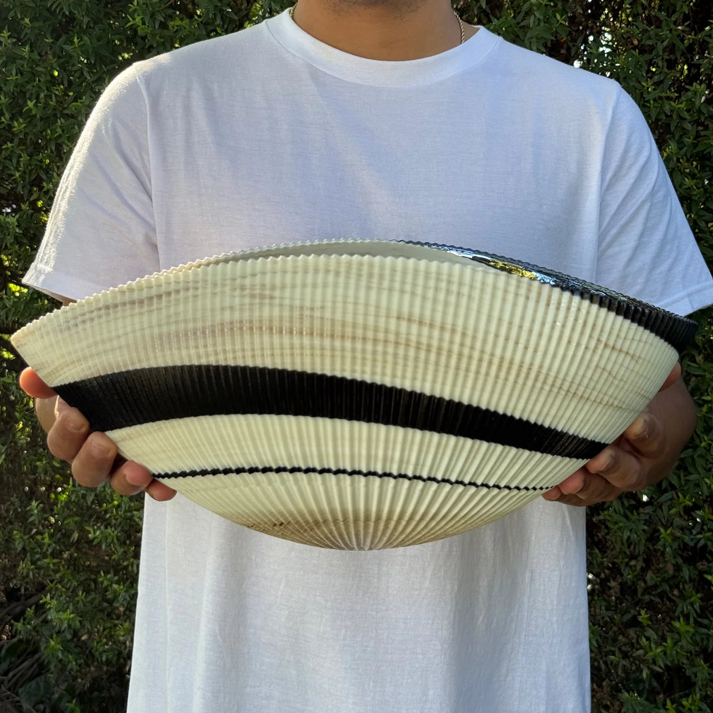 Murano Glass Large 17" Shell Decorative Bowl, Made in Italy - My Italian Decor