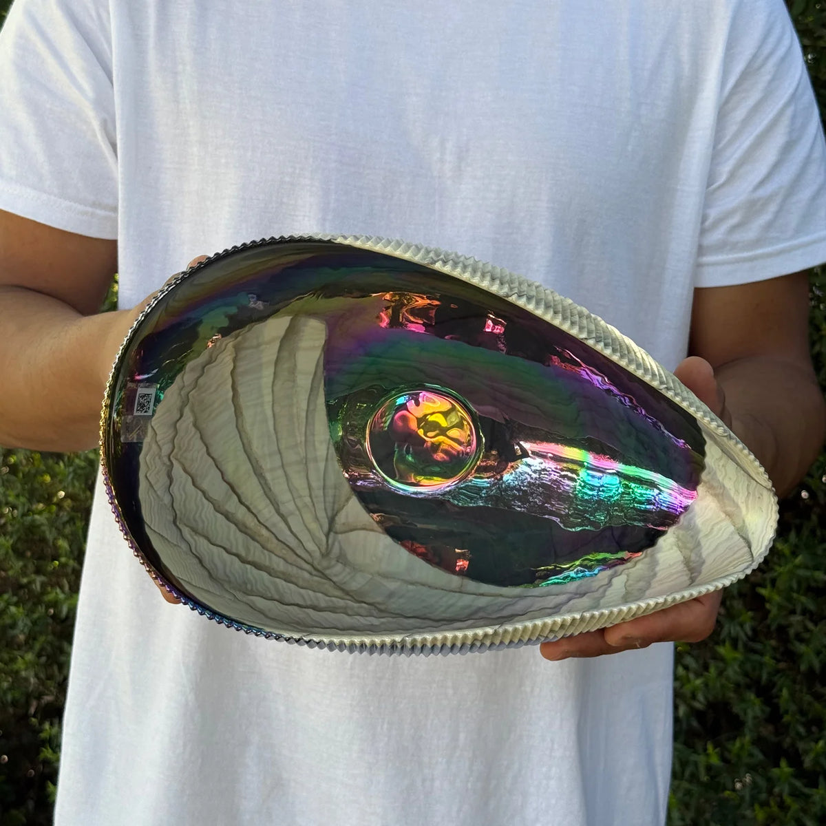Decorative Murano Glass 12-inch shell-shaped bowl by My Italian Decor, showcasing elegant Italian craftsmanship and vibrant glass design.