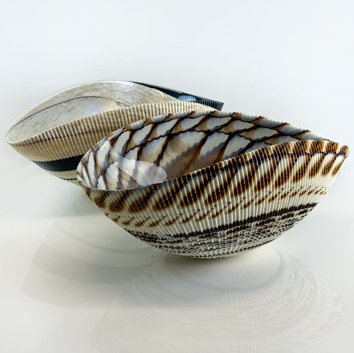 Murano Glass Large 17" Shell Decorative Bowl, Made in Italy