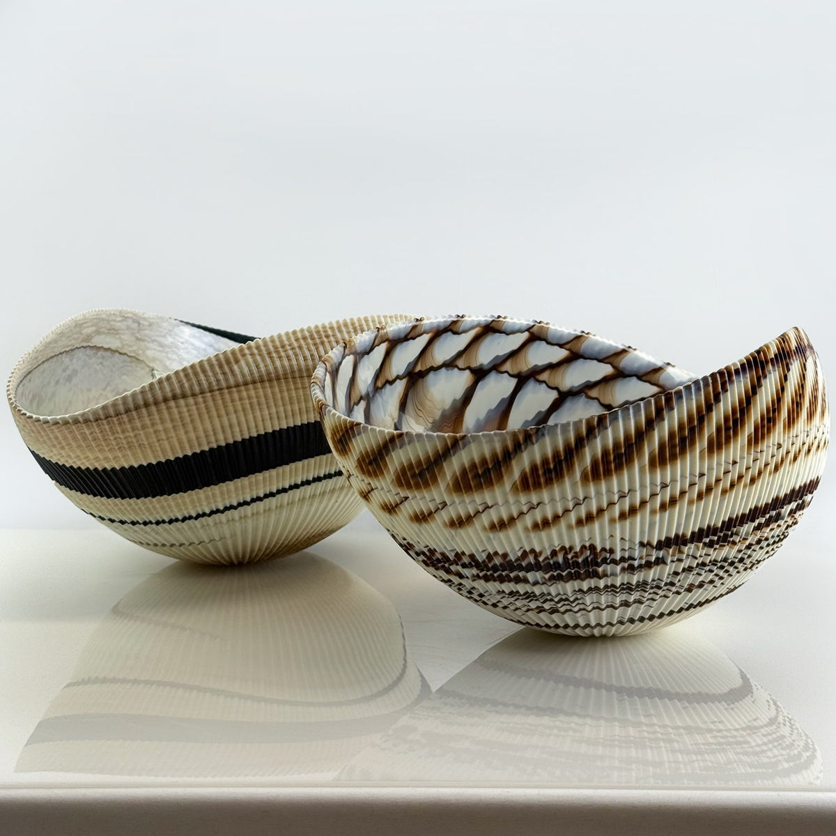 Murano Glass Large 17" Shell Decorative Bowl, Made in Italy