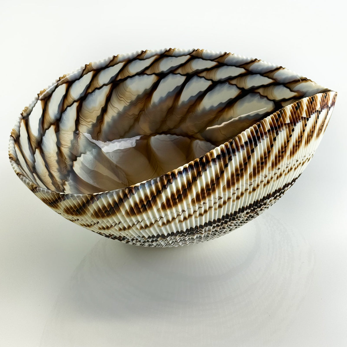 Murano Glass Large 17" Shell Decorative Bowl, Made in Italy