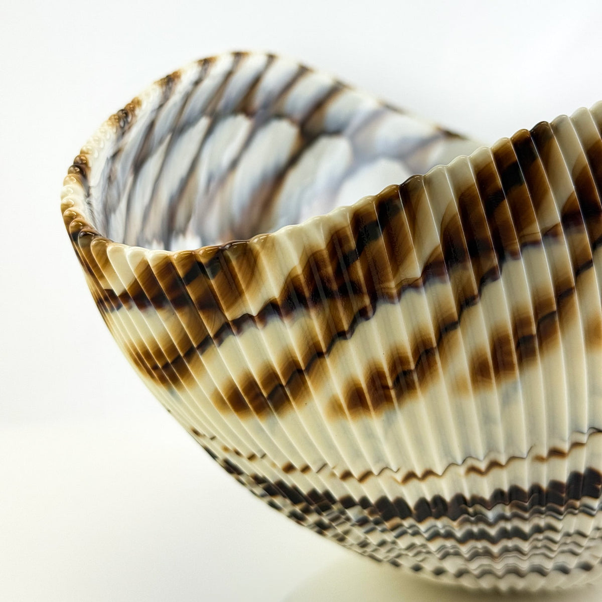 Murano Glass Large 17" Shell Decorative Bowl, Made in Italy