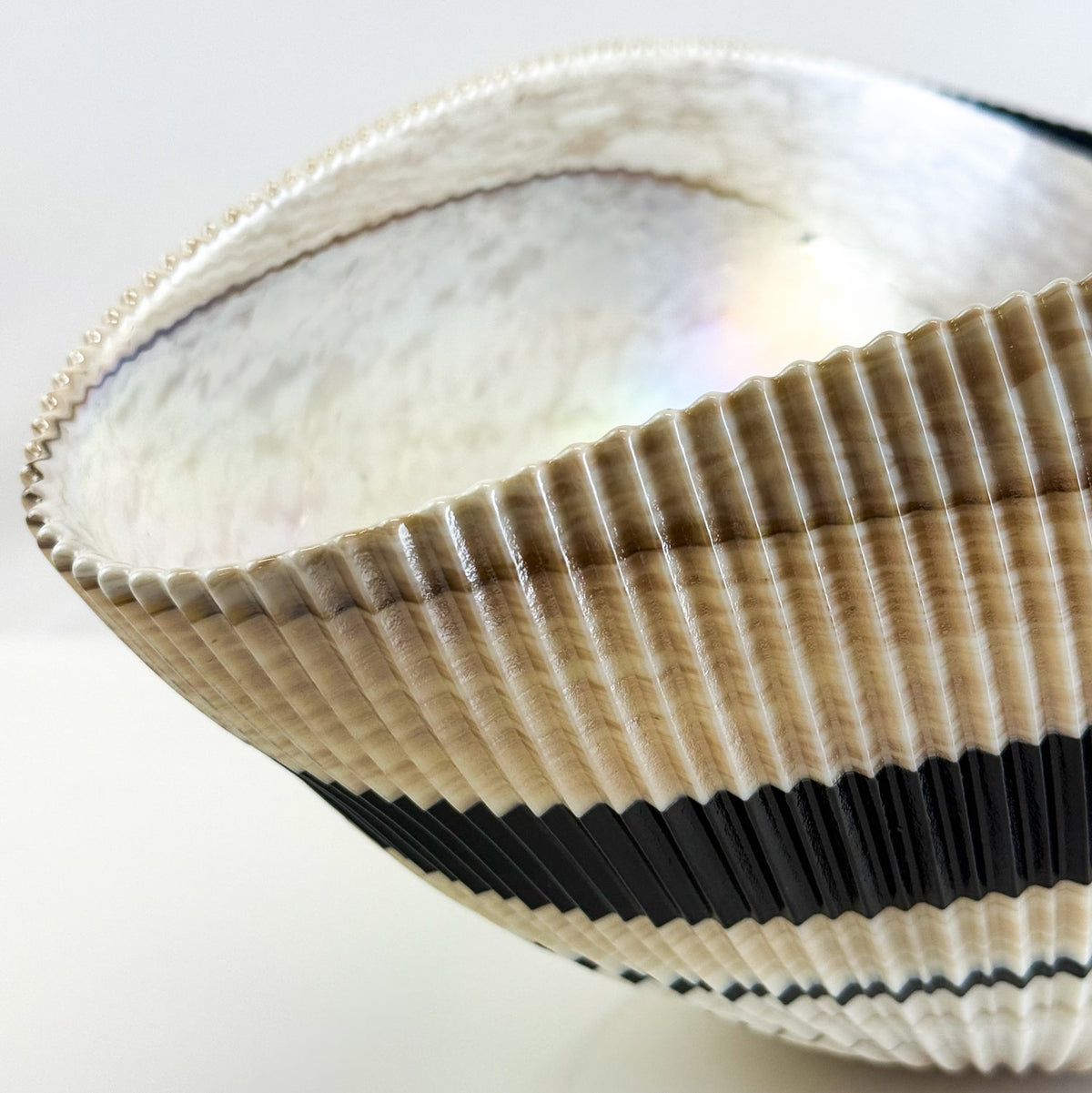 Murano Glass Large 17" Shell Decorative Bowl, Made in Italy