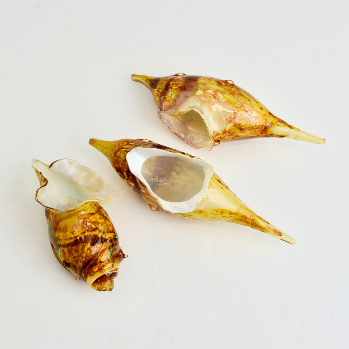 Seashell of Murano, Murano Glass Handmade in Italy