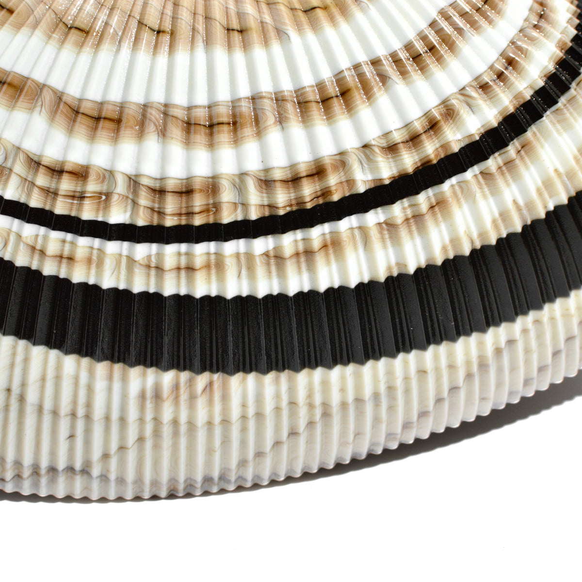 Murano Glass 12&quot; Ivory and Black Shell Bowl, Made in Italy